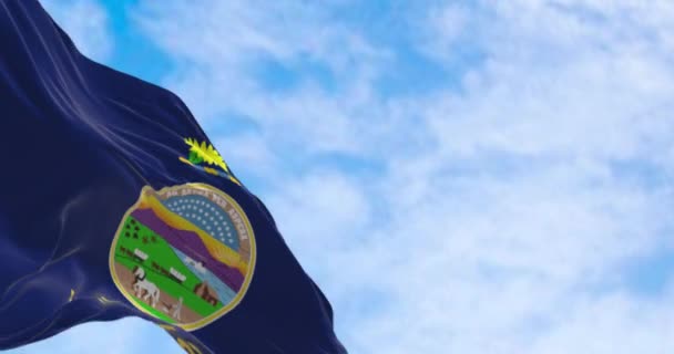 Kansas Eyaleti Bayrağı Açık Havada Rüzgarda Dalgalanıyor Kansas Abd Nin — Stok video