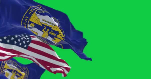 内布拉斯加州的国旗 上面刻满了它的大印章 在绿色的屏幕上挥动孤立的旗帜 无缝3D渲染动画 慢动作回圈4K 有选择的重点 — 图库视频影像