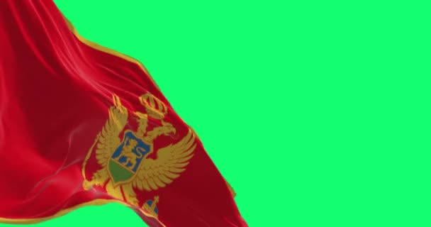 Εθνική Σημαία Του Μαυροβουνίου Κυματίζει Απομονωμένη Στην Πράσινη Οθόνη Απρόσκοπτη — Αρχείο Βίντεο
