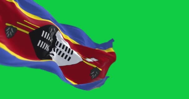 Национальный Флаг Свазиленда Размахивает Изолированным Зеленом Экране Бесшовная Анимация Хрома — стоковое видео