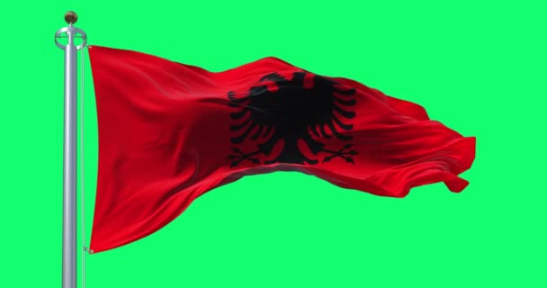 Bandera Nacional Albanesa Ondeando Viento Pantalla Verde Bandera Roja Con — Vídeos de Stock