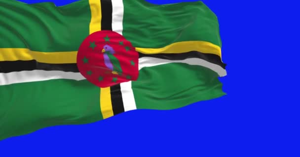 Национальный Флаг Доминики Размахивает Изолированным Синем Экране Бесшовная Анимация Хрома — стоковое видео