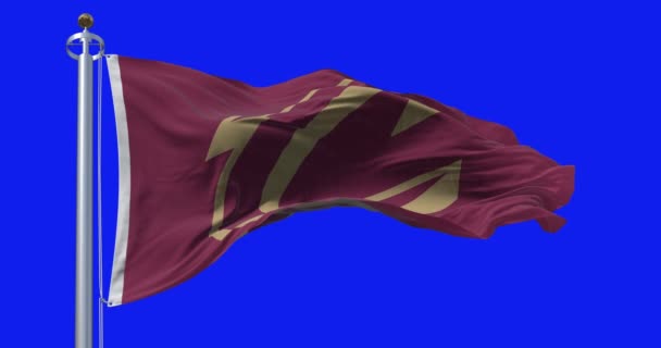 Кливленд Сша Сентября 2023 Года Флаг Кливленда Кавальерса Размахивает Синем — стоковое видео