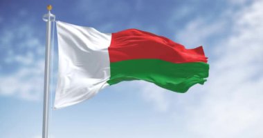 Madagaskar 'ın ulusal bayrağı açık bir günde dalgalanıyor. İki yatay şerit kırmızı ve yeşil, solunda beyaz dikey şerit var. Kusursuz 3 boyutlu animasyon. Yavaş çekim döngüsü. Sallanan bayrak