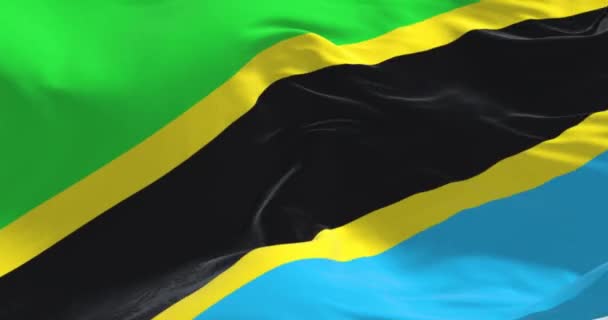 Close Van Tanzaniaanse Vlag Die Wappert Groene Blauwe Driehoeken Met — Stockvideo