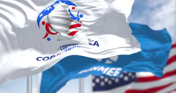 Μαϊάμι Ηπα Δεκ 2023 Copa America Ηπα 2024 Σημαία Κυματίζει — Αρχείο Βίντεο