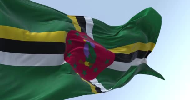 Крупный План Размахивания Флагом Доминики Зеленое Поле Крест Жёлтого Чёрного — стоковое видео