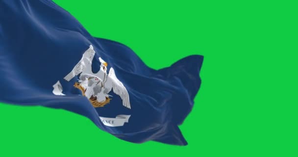Флаг Луизианы Размахивает Зеленым Экраном Мать Пеликан Синей Области Лозунгом — стоковое видео