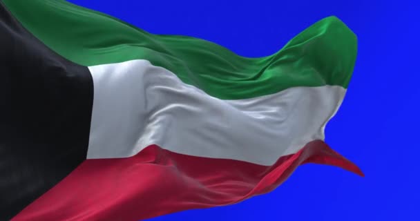 Close Van Nationale Vlag Van Koeweit Die Wappert Het Blauwe — Stockvideo