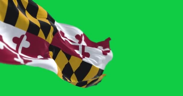 Maryland Állam Zászlója Lobogott Zöld Képernyőn Négy Kvadráns Calvert Crossland — Stock videók
