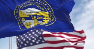 Nebraska eyaleti bayrağı açık bir günde Amerikan bayrağıyla dalgalanıyor. Ortasında Nebraska 'nın büyük bir devlet mührü olan koyu mavi. Kusursuz 3 boyutlu animasyon. Yavaş çekim döngüsü. Seçici odak