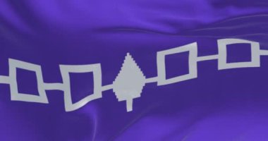 Iroquois bayrağının yakın çekimi. Dört bağlı beyaz kareli mor bayrak ve ortada bir doğu beyaz çam ağacı. Kusursuz 3 boyutlu animasyon. Yavaş çekim döngüsü