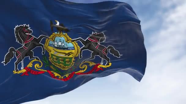 Крупним Планом Штат Пенсильванія Прапор Махав Чітким Днем Блакитне Поле — стокове відео