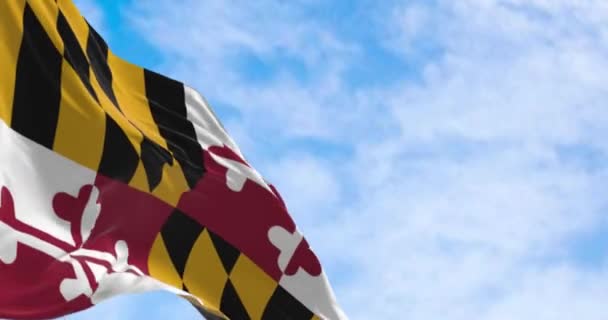 Bandiera Del Maryland Sventola Una Giornata Limpida Quattro Quadranti Con — Video Stock