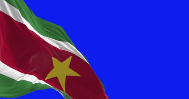 Bandera Nacional Surinam Ondeando Pantalla Azul Animación Renderizado Sin Fisuras — Vídeos de Stock