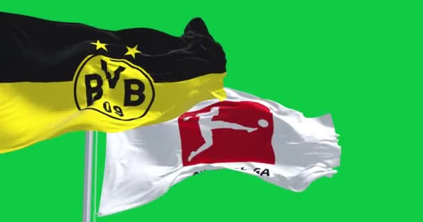 Dortmund Nov 2023 Σημαία Borussia Dortmund Σημαία Bundesliga Στην Πράσινη — Αρχείο Βίντεο