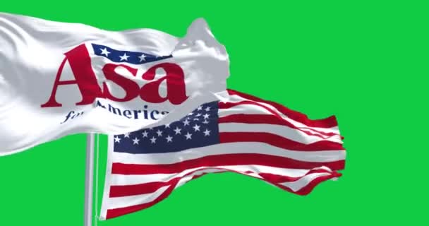 2023年6月20日 ベントンビル ハッチンソン2024年選挙旗が緑色のスクリーンにアメリカ国旗を掲げている シームレス3Dレンダリングアニメーション クロマキー スローモーションループ 4Kについて — ストック動画