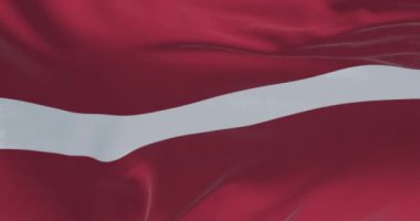 Letonya ulusal bayrağının rüzgarda dalgalanmasını yakından izliyoruz. Ortası dar beyaz şeritli Carmine kırmızı tarlası. Kusursuz 3 boyutlu animasyon. Yavaş çekim döngüsü.