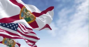 Florida ve Birleşik Devletler bayrakları açık bir günde rüzgarda sallanıyor. Amerikan bayrağı. Gurur ve vatanseverlik kavramı. Kusursuz 3 boyutlu animasyon. Yavaş çekim döngüsü. Seçici odak