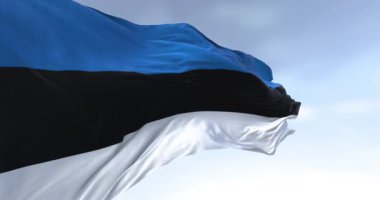 Açık bir günde rüzgarda sallanan Estonya bayrağının yakın çekimi. Mavi, siyah ve beyaz üç eşit şeritten oluşan yatay üç renkli bir renk. Kusursuz 3 boyutlu animasyon. Yavaş çekim döngüsü