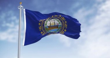 New Hampshire eyaleti bayrağı açık havada rüzgarda sallanıyor. Ortasında eyalet mührü olan koyu mavi bir arka plan. Kusursuz 3 boyutlu animasyon. Yavaş çekim döngüsü. Seçici odak