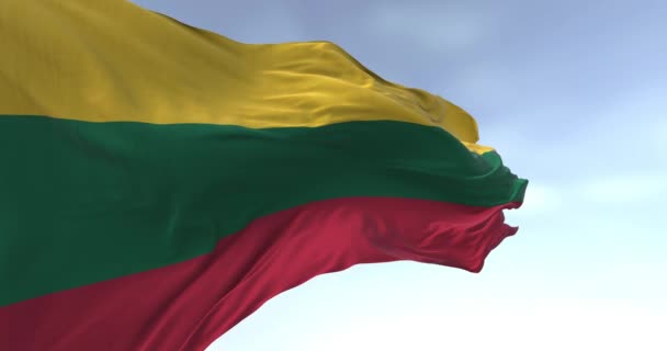Bandiera Nazionale Della Lituania Sventola Nel Vento Una Giornata Limpida — Video Stock