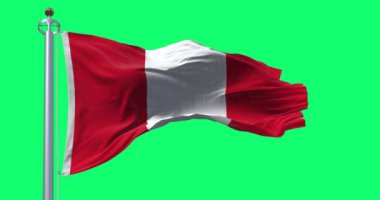 Peru ulusal bayrağı rüzgar yeşil ekranında dalgalanıyor. Dikey üçlü şerit, iki kırmızı dış şerit ve tek bir beyaz orta şeritten oluşur. Kusursuz 3D canlandırma animasyonu. Krom anahtar. Yavaş çekim döngüsü. 4K