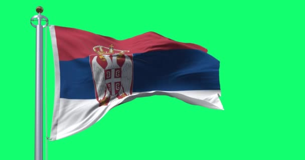 セルビアの国旗が緑色のスクリーンで風を振っている 白のバンドは 中央の左側にセルビアの紋章を施した シームレス3Dレンダリングアニメーション クロマキー スローモーションループ 4Kについて — ストック動画