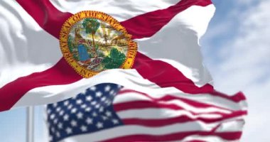 Florida ve Birleşik Devletler bayrakları açık bir günde rüzgarda sallanıyor. Amerikan bayrağı. Gurur ve vatanseverlik kavramı. Kusursuz 3 boyutlu animasyon. Yavaş çekim döngüsü. Seçici odak