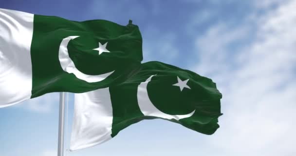 2つのパキスタン国旗が晴れた日を迎えました ホイストに白いバンドと緑 白い三日月と5点の星 シームレス3Dレンダリングアニメーション スローモーションループ 選択的なフォーカス — ストック動画