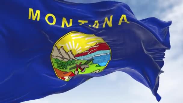 Gros Plan Drapeau État Montana Agitant Vent Par Temps Clair — Video