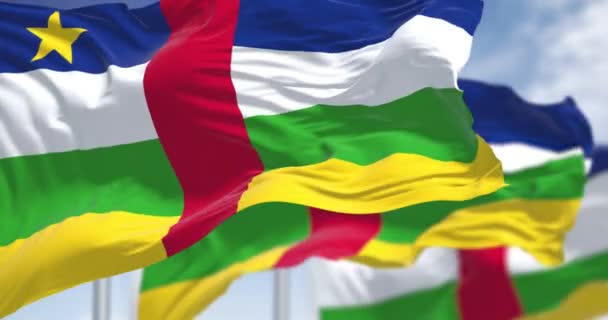 中非共和国国旗在一个晴朗的日子飘扬 无缝3D渲染动画 慢动作回圈有选择的重点 — 图库视频影像