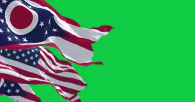 Ohio eyalet bayrağı yeşil ekranda Amerika Birleşik Devletleri bayrağıyla dalgalanıyor. Kusursuz 3D canlandırma animasyonu. Krom anahtar. Yavaş çekim döngüsü. 4 bin. Seçici odak.