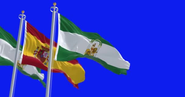安达卢西亚的绿色和白色的国旗 中间是臂章 绿色的屏幕上挂着西班牙国旗 无缝3D渲染动画 阿尔法频道慢动作回圈4K — 图库视频影像