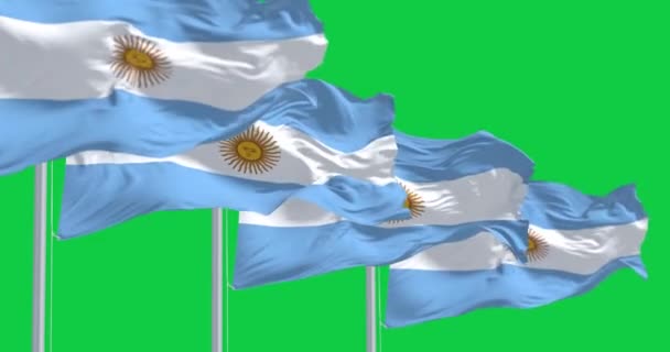 Vier Argentinische Nationalflaggen Wehten Auf Der Grünen Leinwand Nahtlose Renderanimation — Stockvideo