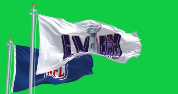 Paradise Eua Dezembro 2023 58Th Super Bowl Bandeiras Nfl Acenando — Vídeo de Stock