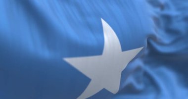 Somali ulusal bayrağının dalgalanmasına yakından bakın. Açık mavi, ortada beş köşeli yıldız. Kumaş desenli arka plan. Kusursuz 3 boyutlu animasyon. Yavaş çekim döngüsü. Seçici odak