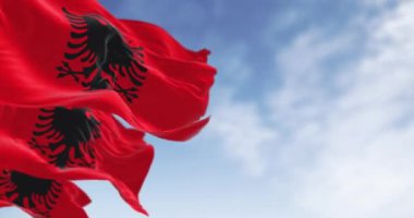 Açık bir günde Arnavut ulusal bayrakları rüzgarda sallanıyor. Siyah iki başlı kartallı kırmızı bayrak. Kusursuz 3 boyutlu animasyon. Yavaş çekim döngüsü. Seçici odak