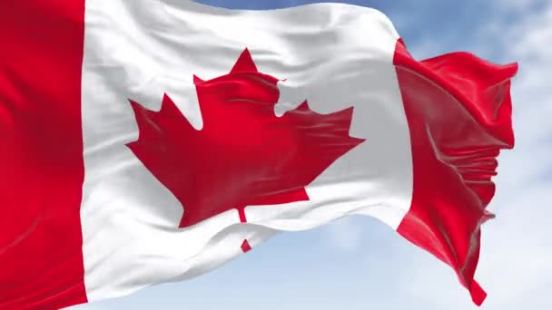바람에 흔들리는 캐나다 국기의 클로즈업 중앙에 광장과 점이있는 빨간색 스타일의 — 비디오