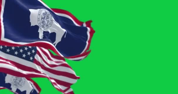 Wyoming Statliga Flaggan Och Den Amerikanska Flaggan Viftar Isolerad Grön — Stockvideo
