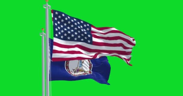 バージニア州旗は緑の背景に孤立したアメリカ国旗を掲げている 3Dレンダリングアニメーション グリーン スクリーン クロマキー アルファチャンネル スローモーションループ 4Kについて 選択的なフォーカス — ストック動画