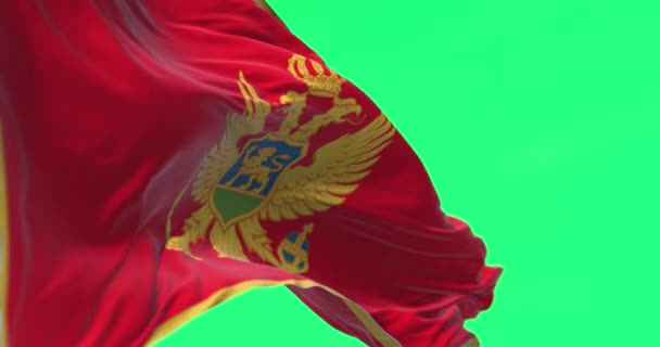 Flaga Narodowa Czarnogóry Falująca Zielonym Tle Bezproblemowa Animacja Renderowania Klucz — Wideo stockowe