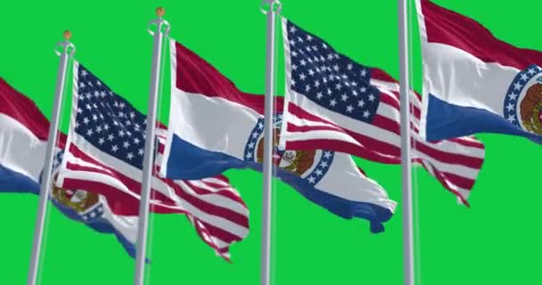 ミズーリ州の国旗は 緑の背景に孤立した国旗で振られています シームレス3Dレンダリングアニメーション グリーン スクリーン クロマキー アルファチャンネル スローモーションループ 4Kについて 選択的なフォーカス — ストック動画