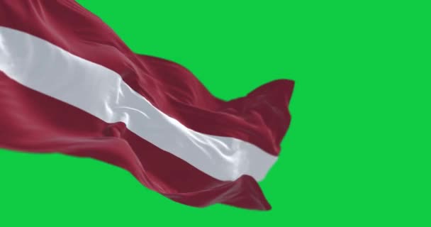 Republiken Lettlands Nationella Flagga Viftar Isolerat Grön Bakgrund Sömlös Rendering — Stockvideo