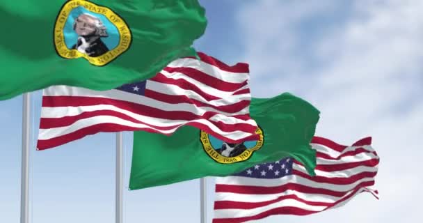 Washington Eyaletinin Bayrakları Amerikan Bayraklarıyla Dalgalanıyor Koyu Yeşil Alan Ortada — Stok video