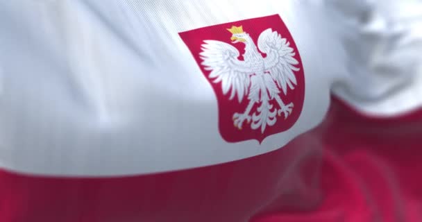 Penutupan Bendera Nasional Polandia Melambaikan Tangan Dua Garis Horizontal Putih — Stok Video