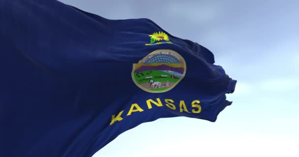 Primer Plano Bandera Del Estado Kansas Ondeando Viento Día Despejado — Vídeo de stock