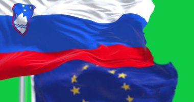Slovenya ve Avrupa Birliği 'nin bayrakları yeşil arka planda izole halde sallanıyor. Kusursuz 3D canlandırma animasyonu. Krom anahtar. Yavaş çekim döngüsü. Yeşil ekran. 4 bin. Seçici odak.