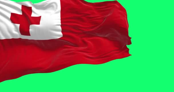 汤加国旗在绿色背景下飘扬 无缝3D渲染动画 慢动作回圈绿色屏幕 — 图库视频影像
