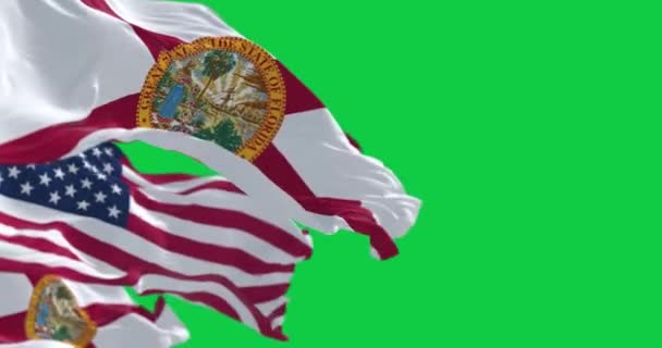 佛罗里达州和美国的国旗在绿色背景下飘扬 与世隔绝 无缝3D渲染动画 绿色屏幕 阿尔法频道慢动作回圈4K 有选择的重点 — 图库视频影像